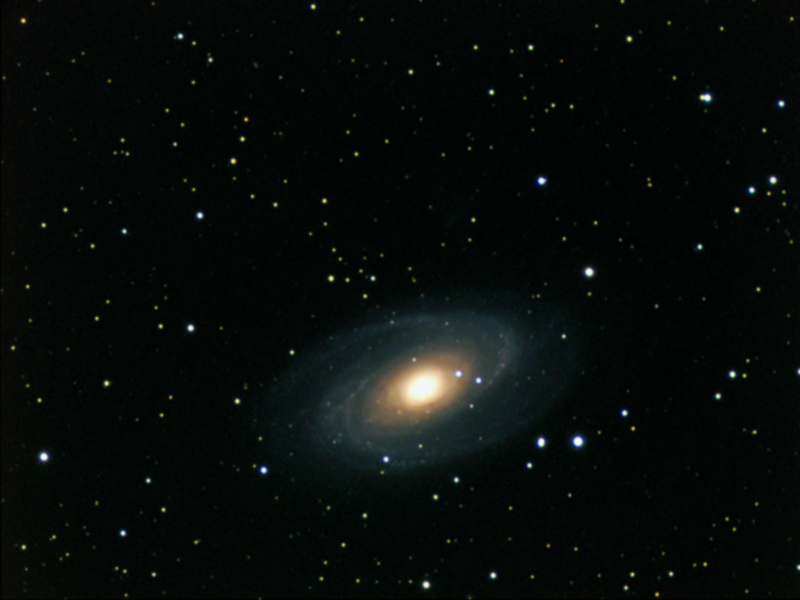 M81